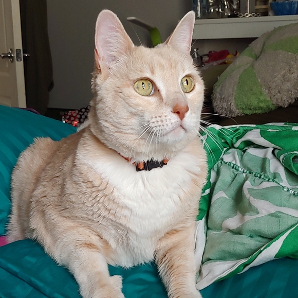 Meet your Posher, Kimberly - Picture 2 of 9